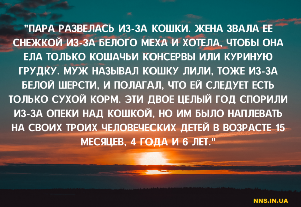 Развод по-американски. Реальные случаи из адвокатской практики.