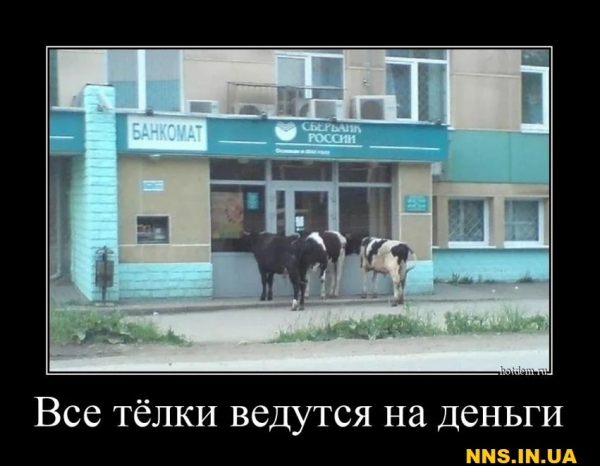 Свежачок на выходные