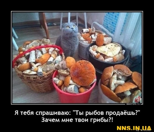 Свежачок на выходные