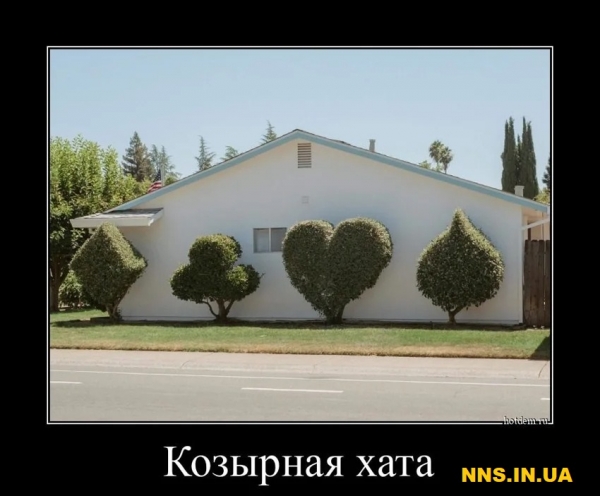 Свежачок на выходные