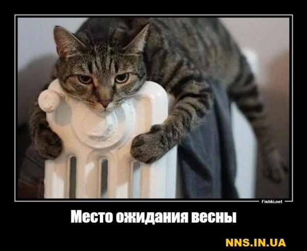 Свежачок на выходные