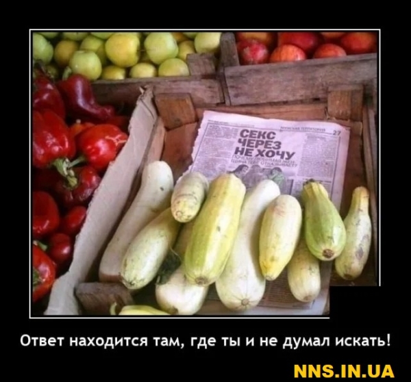 Свежачок на выходные