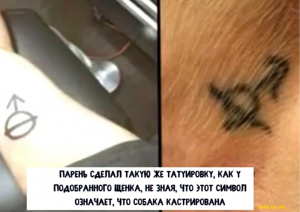 14 случаев человеческой глупости