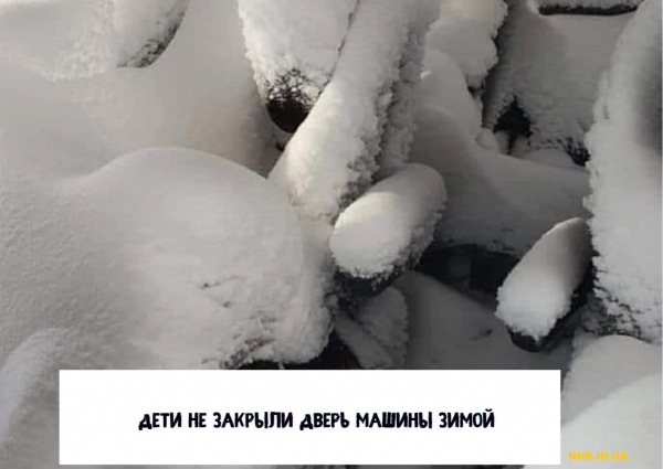 14 случаев человеческой глупости