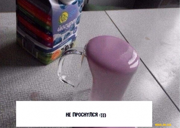 14 случаев человеческой глупости