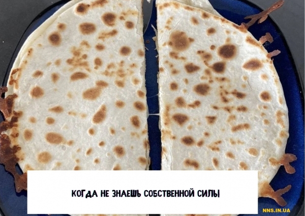 14 случаев человеческой глупости