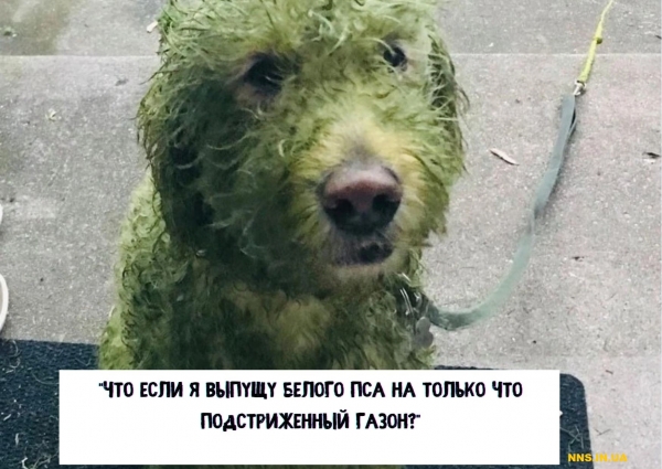 14 случаев человеческой глупости