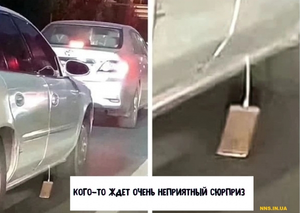 14 случаев человеческой глупости