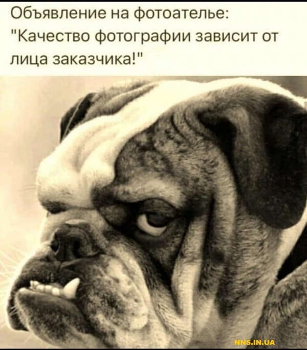 Подборка юмора на понедельник для хорошего настроения