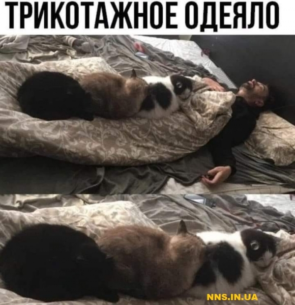 Подборка юмора на понедельник для хорошего настроения