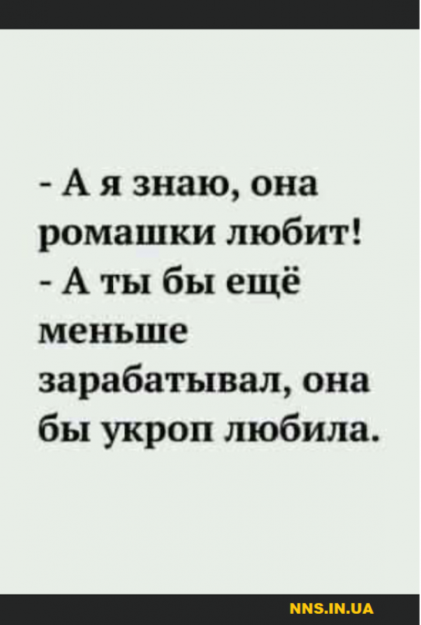 Шуточки для хорошего настроя