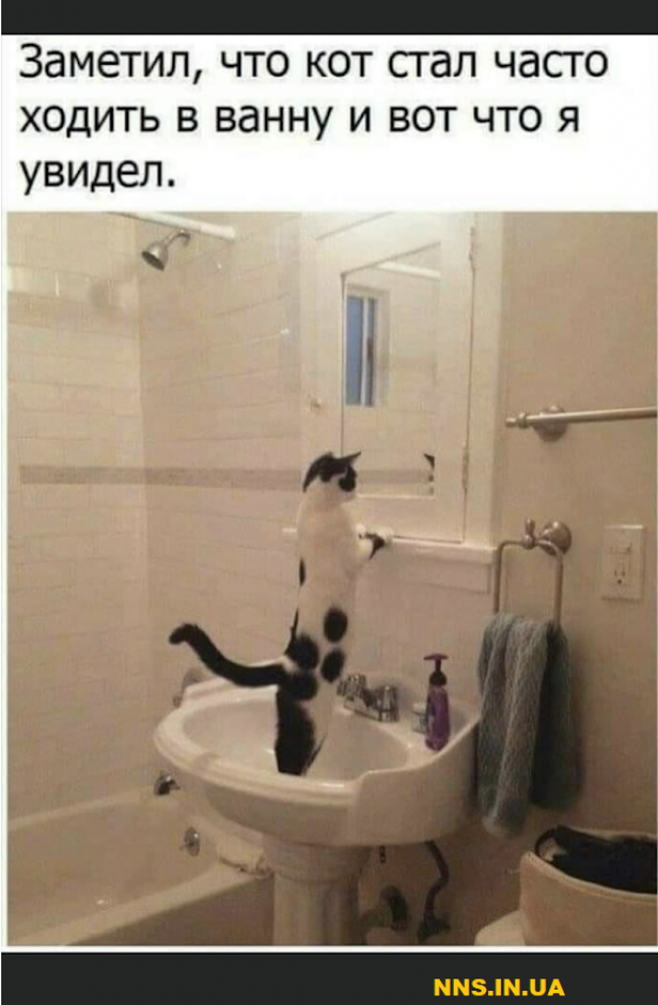 Шуточки для хорошего настроя
