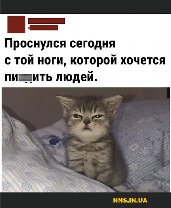 Шуточки для хорошего настроя