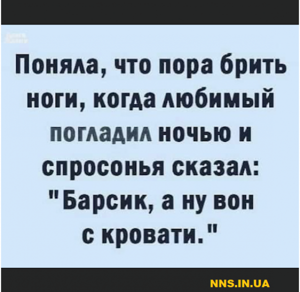Шуточки для хорошего настроя