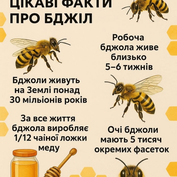 Неймовірні факти про бджіл: зовсім не медова історія!