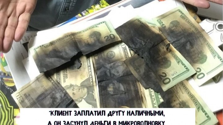 14 случаев человеческой глупости