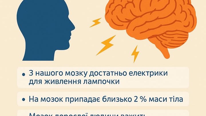 Ваш мозок — невідома електростанція!